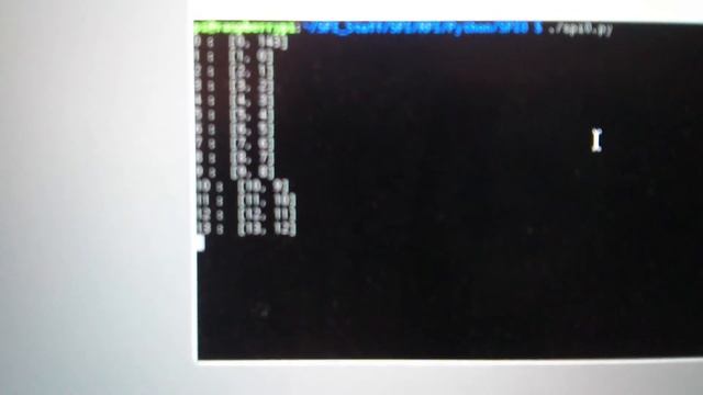 RPI to AEM via SPI смотреть онлайн