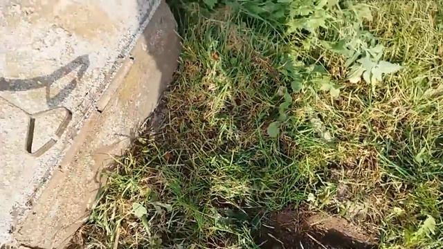 Электрокультиватор из СССР