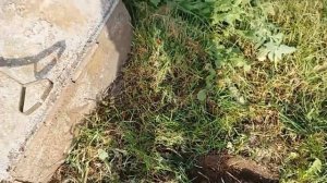 Электрокультиватор из СССР