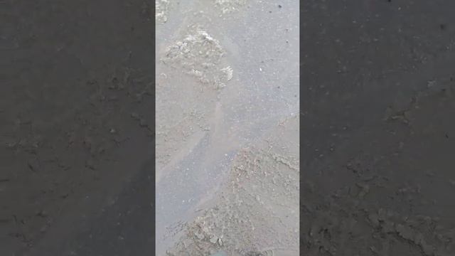 Ручей который впадает в реку смотреть онлайн