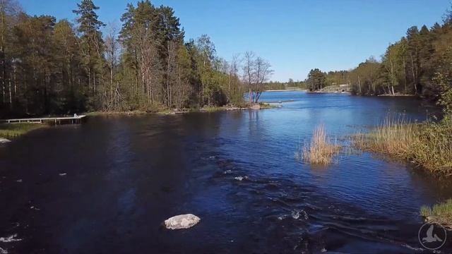 Сплав по Вуоксе 24 мая 2020г смотреть онлайн