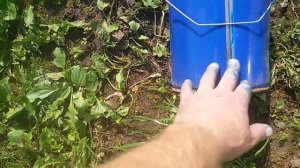 Покраска крыши краскопультом зубр