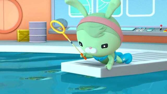 01.49 - Октонавты и углохвостый спинорог