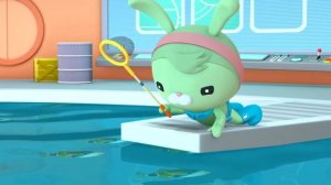 01.49 - Октонавты и углохвостый спинорог