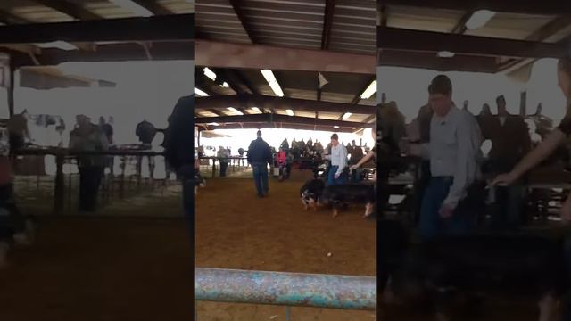 Berk @ county смотреть онлайн