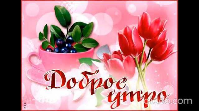 С добрым утром, пусть наступивший день будет тёплым и светлым 💖💖💖 смотреть онлайн