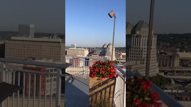 США??Офисный город Цинциннати!??Штат Огайо смотреть онлайн