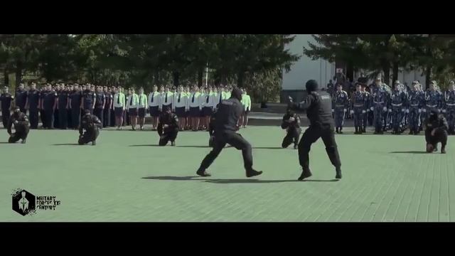 Показательное выступление подразделений СОБР 2021 смотреть онлайн