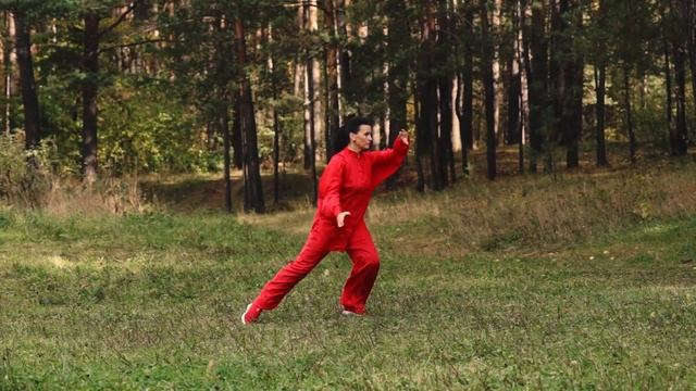 Таолу 28 форм тайцзицюань Ян ши смотреть онлайн