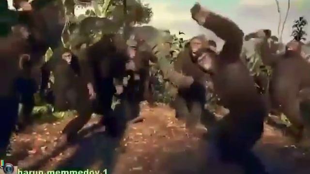 Лазгинка смотреть онлайн