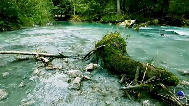 Звук РЕКИ,успокаивающая музыка для души✨relaxation✨ The sound of the RIVER, soothing music. смотреть онлайн