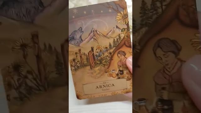 The Herbal Astrology Oracle - WOW! BEAUTIFUL!!! смотреть онлайн
