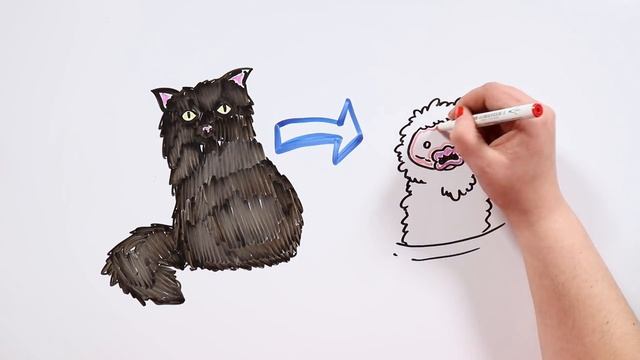 JÓLAKÖTTURINN, THE YULE CAT | Draw My Life смотреть онлайн