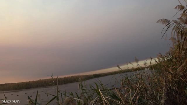 Охота на утку.Внезапный налет гусей. Много утки пришло с моря. Азы выбора места для охоты. смотреть онлайн