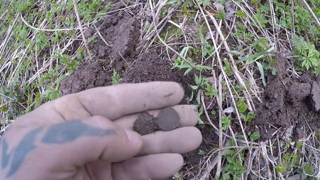 ПОИСК МОНЕТ И КЛАДОВ СОБИРАЕМ ДЕНЬГИ SEARCH THE COINS TREASURE HUNTERS OF RUSSIA смотреть онлайн