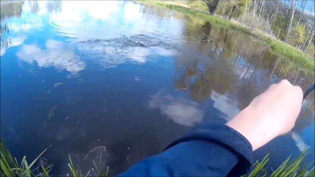 Рыбалка в Калининграде и области смотреть онлайн