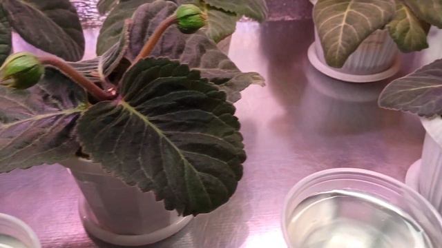 26 января 2023 г. смотреть онлайн