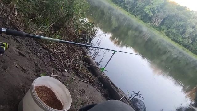 Утро на Северском донце Рыбалка, Мелочь не дает ловить смотреть онлайн