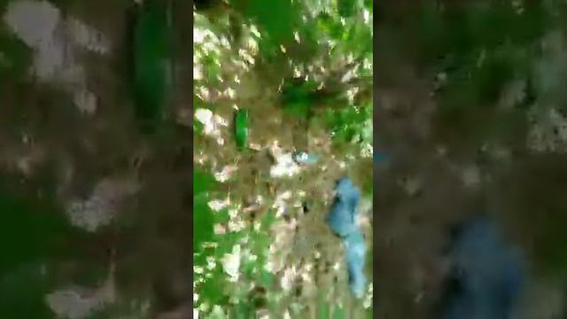 Игра в зомби заражение (часть 2) смотреть онлайн