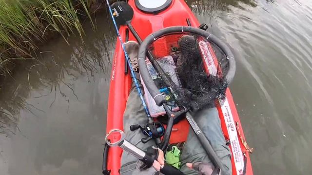 Caught A Few Nice Reds But The Weather Was The Real Winner Of The Day