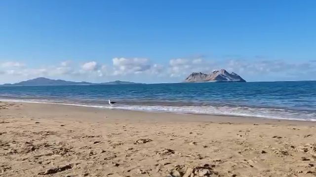 Самвел Адамян \ неадеквашка мамо, у менэ всэ в норми \ Saveliy Ad + Grandenikо vlog + мамо Адамян смотреть онлайн