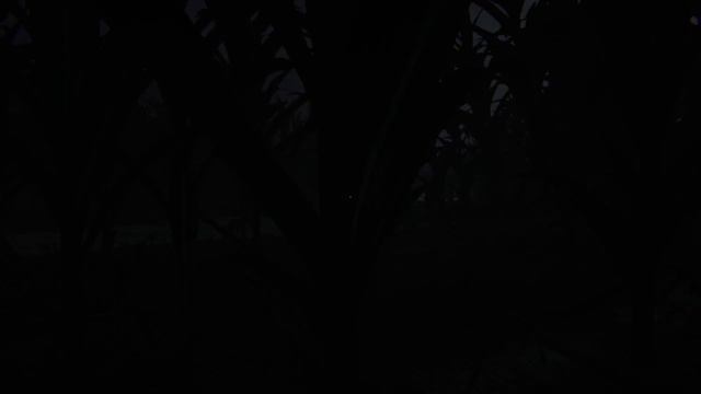 Стрим по игре Outlast 2 DEMO смотреть онлайн