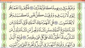 Шейх Айман Сувейд сура Имран стр 53