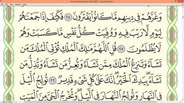Шейх Айман Сувейд сура Имран стр 53
