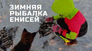 Зимняя рыбалка на Крайнем Севере (река Енисей). Большой выпуск