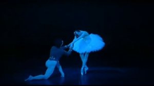 Чайковский. Лебединое озеро. 09 Финальная сцена