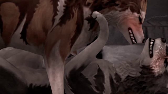 wcmv:нимфоманка смотреть онлайн