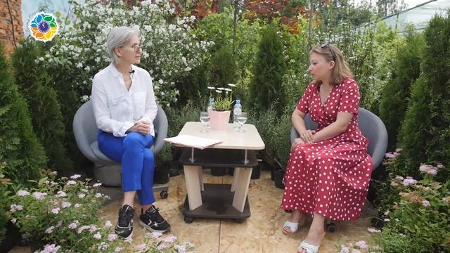 С чего начать огород? Что можно посадить на огороде? смотреть онлайн