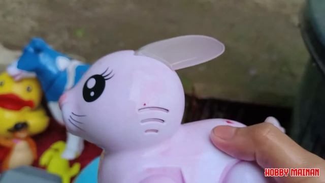 Membersihkan Sapi Bebek Monyet Kepiting Gajah Kelinci Kucing Singa Buaya Harimau Anjing #animals
