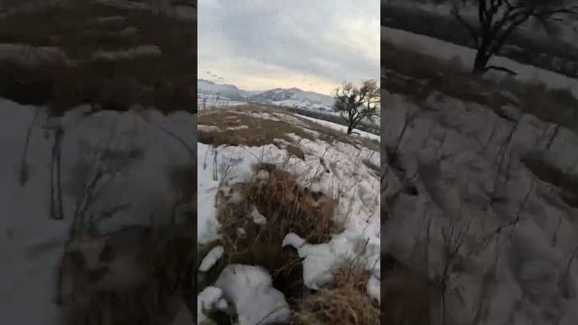 Заипись краш. Высота-пулл ап. Пулл ап)))))) #fpv #geprc #fly #dronevideo #drone #drones #sky смотреть онлайн