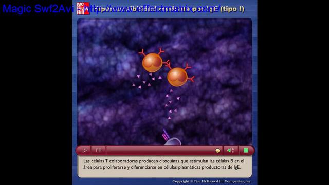 Hipersensibilidad mediada por Ige смотреть онлайн