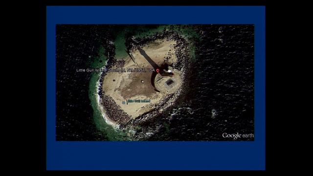 Harbor seals at Cupsogue Beach: population trends and site fidelity, Arthur Kopleman смотреть онлайн