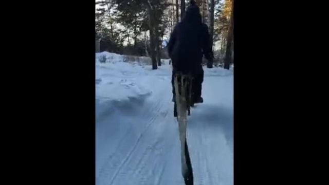 Электромопед Рига-16 зима январь - 15 тюб покатушки. смотреть онлайн
