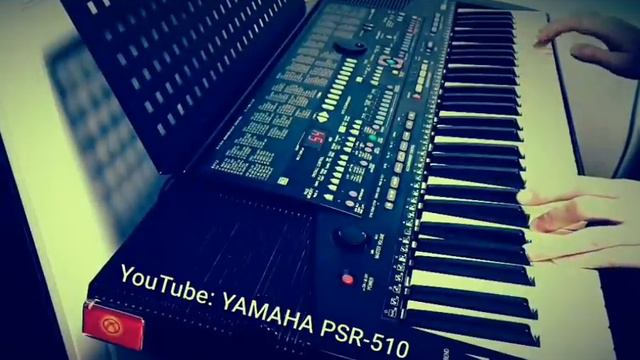 T-ARA NUMBER NINE 🇰🇬 cover on YAMAHA PSR-510 смотреть онлайн