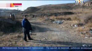 В Саратове начали отлавливать бродячих животных