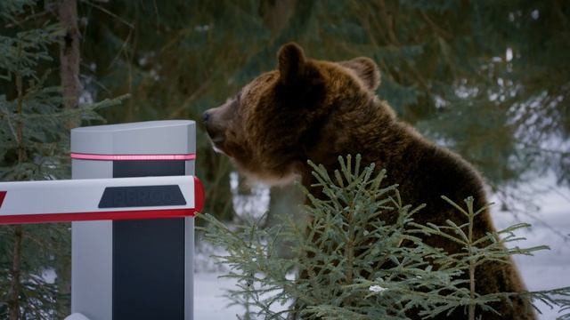Шлагбаум для эксплуатации в России смотреть онлайн