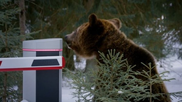 Шлагбаум для эксплуатации в России