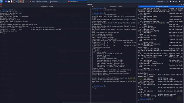 Crocodile - Hack The Box | Complete detailed walkthrough смотреть онлайн