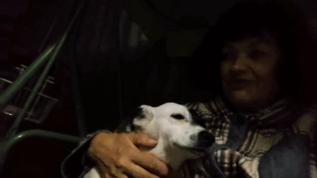 Багира прижилась в Дк. Б. Жене нравится прическа Груни:) Лорик взрослеет. Приветы из дома. смотреть онлайн