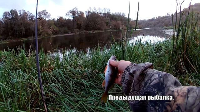 Ловля окуня на отводной в черте города.(LiveFishing) смотреть онлайн