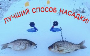 ЛУЧШИЙ СПОСОБ НАСАДКИ ЖИВЦА. РЫБАЛКА НА ЖЕРЛИЦЫ