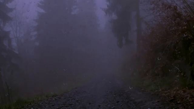 Идите спать с громом и звуком дождя ( музыка для сна отдыхайте с RELAX MUSIC) смотреть онлайн