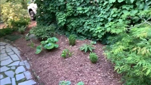 Garden Tour Part 1 смотреть онлайн