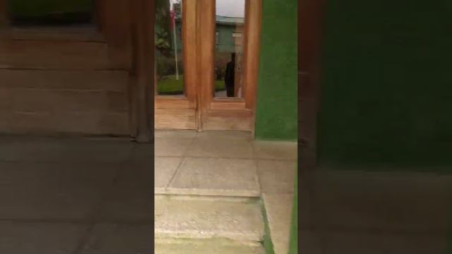 Дорога до дачи Сталина города Сочи. Как найти и какие цены на билеты? смотреть онлайн