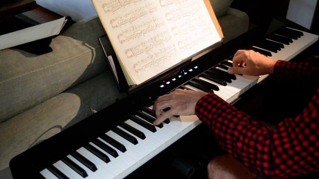 Brahms, b minor Rhapsody, op 79 #1, David Ball, piano, Casio PX S-1000 смотреть онлайн