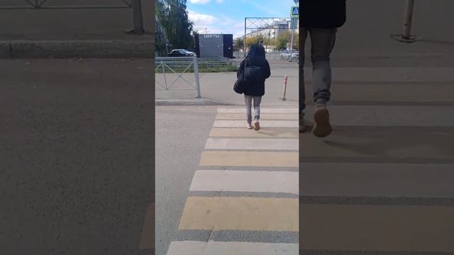 Как вернуть забытые вещи в поезде смотреть онлайн